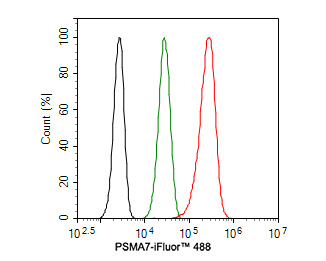 Flow cytometric analysis of Hela cells labeling PSMA7.<br />
<br />
Cells were fixed and permeabilized. Then stained with the primary antibody (HA500004, 1ug/ml) (red) compared with Rabbit IgG Isotype Control (green). After incubation of the primary antibody at +4℃ for an hour, the cells were stained with a iFluor™ 488 conjugate-Goat anti-Rabbit IgG Secondary antibody (HA1121) at 1/1,000 dilution for 30 minutes at +4℃. Unlabelled sample was used as a control (cells without incubation with primary antibody; black).