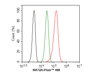 Flow cytometric analysis of Hela cells labeling MAT2A.<br />
<br />
Cells were fixed and permeabilized. Then stained with the primary antibody (HA500028, 1ug/ml) (red) compared with Rabbit IgG Isotype Control (green). After incubation of the primary antibody at +4℃ for an hour, the cells were stained with a iFluor™ 488 conjugate-Goat anti-Rabbit IgG Secondary antibody (HA1121) at 1/1,000 dilution for 30 minutes at +4℃. Unlabelled sample was used as a control (cells without incubation with primary antibody; black).