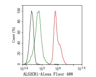Flow cytometric analysis of ALS2CR1 was done on HepG2 cells. The cells were fixed, permeabilized and stained with the primary antibody (HA720111, 1ug/ml) (red) compared with Rabbit IgG, monoclonal  - Isotype Control (green). After incubation of the primary antibody at +4℃ for 1 hour, the cells were stained with a Alexa Fluor®488 conjugate-Goat anti-Rabbit IgG Secondary antibody at 1/1,000 dilution for 30 minutes at +4℃ (dark incubation).Unlabelled sample was used as a control (cells without incubation with primary antibody; black).