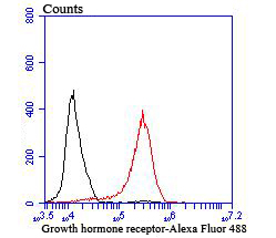 Flow cytometric analysis of Growth hormone receptor was done on MCF-7 cells. The cells were fixed, permeabilized and stained with the primary antibody (ET1706-49, 1/50) (red). After incubation of the primary antibody at room temperature for an hour, the cells were stained with a Alexa Fluor®488 conjugate-Goat anti-Rabbit IgG Secondary antibody at 1/1,000 dilution for 30 minutes.Unlabelled sample was used as a control (cells without incubation with primary antibody; black).