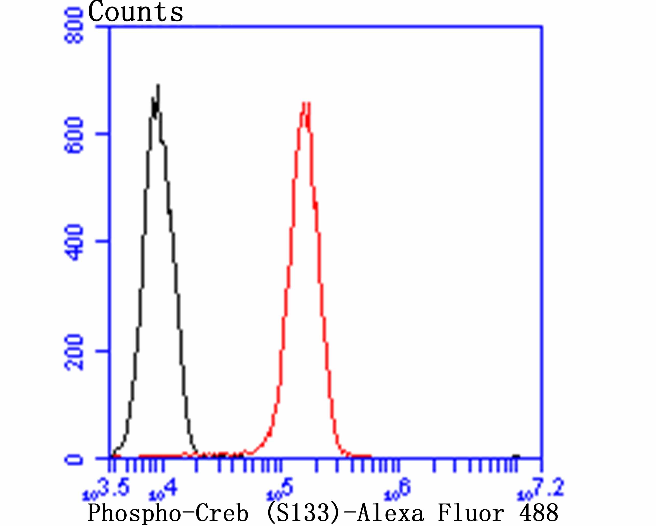 Flow cytometric analysis of Phospho-Creb (S133) was done on HUVEC cells. The cells were fixed, permeabilized and stained with the primary antibody (ET7107-93, 1/50) (red). After incubation of the primary antibody at room temperature for an hour, the cells were stained with a Alexa Fluor 488-conjugated Goat anti-Rabbit IgG Secondary antibody at 1/1000 dilution for 30 minutes.Unlabelled sample was used as a control (cells without incubation with primary antibody; black).