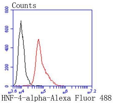 Flow cytometric analysis of HNF-4-alpha was done on HepG2 cells. The cells were fixed, permeabilized and stained with the primary antibody (ET1611-43, 1/50) (red). After incubation of the primary antibody at room temperature for an hour, the cells were stained with a Alexa Fluor 488-conjugated Goat anti-Rabbit IgG Secondary antibody at 1/1000 dilution for 30 minutes.Unlabelled sample was used as a control (cells without incubation with primary antibody; black).