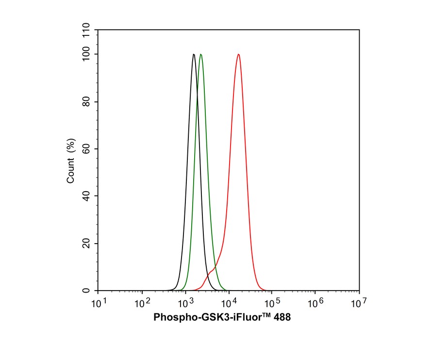 Western blot analysis of Phospho-GSK3 (alpha+beta) (Y216+Y279) on mouse brain tissue lysates with Rabbit anti-Phospho-GSK3 (alpha+beta) (Y216+Y279) antibody (ET1607-54) at 1:500 dilution.<br />
<br />
Lysates/proteins at 20 µg/Lane.<br />
<br />
Predicted band size: 46/51 kDa<br />
Observed band size: 46/51 kDa<br />
<br />
Exposure time: 2 minutes;<br />
<br />
10% SDS-PAGE gel.<br />
<br />
Proteins were transferred to a PVDF membrane and blocked with 5% NFDM/TBST for 1 hour at room temperature. The primary antibody (ET1607-54) at 1:500 dilution was used in 5% NFDM/TBST at room temperature for 2 hours. Goat Anti-Rabbit IgG - HRP Secondary Antibody (HA1001) at 1:300,000 dilution was used for 1 hour at room temperature.