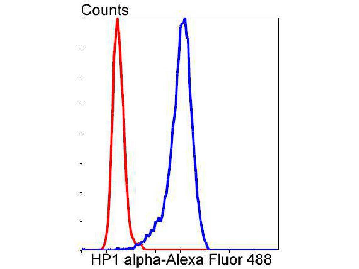 Flow cytometric analysis of HP1 alpha was done on SH-SY5Y cells. The cells were fixed, permeabilized and stained with the primary antibody (ET1602-8, 1/50) (blue). After incubation of the primary antibody at room temperature for an hour, the cells were stained with a Alexa Fluor®488 conjugate-Goat anti-Rabbit IgG Secondary antibody at 1/1000 dilution for 30 minutes.Unlabelled sample was used as a control (cells without incubation with primary antibody; red).