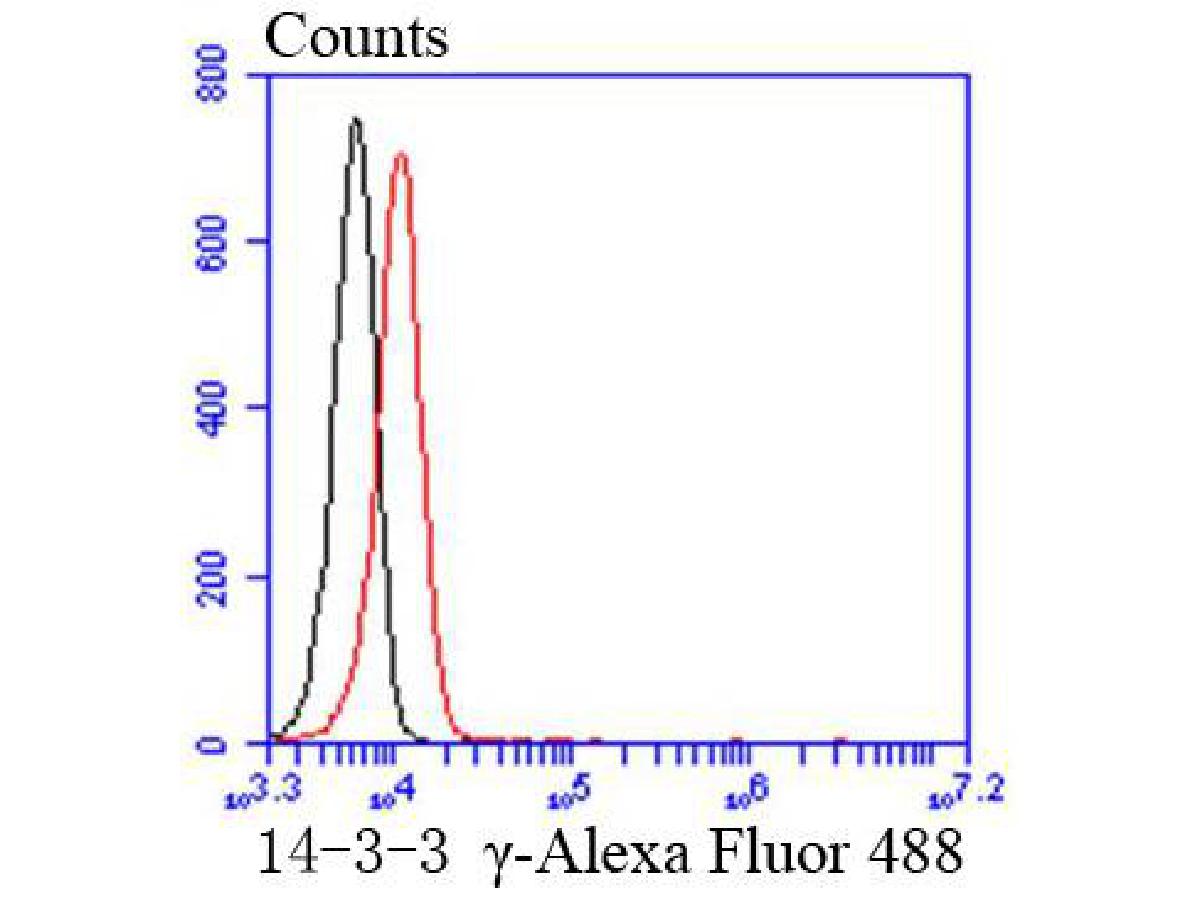 Flow cytometric analysis of 14-3-3 gamma was done on K562 cells. The cells were fixed, permeabilized and stained with the primary antibody (ET1612-9, 1/50) (red). After incubation of the primary antibody at room temperature for an hour, the cells were stained with a Alexa Fluor®488 conjugate-Goat anti-Rabbit IgG Secondary antibody at 1/1,000 dilution for 30 minutes.Unlabelled sample was used as a control (cells without incubation with primary antibody; black).