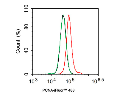 Flow cytometric analysis of HeLa cells labeling PCNA.<br />
<br />
Cells were fixed and permeabilized. Then stained with the primary antibody (ET1605-38, 1μg/mL) (red) compared with Rabbit IgG Isotype Control (green). After incubation of the primary antibody at +4℃ for an hour, the cells were stained with a iFluor™ 488 conjugate-Goat anti-Rabbit IgG Secondary antibody (HA1121) at 1/1,000 dilution for 30 minutes at +4℃. Unlabelled sample was used as a control (cells without incubation with primary antibody; black).