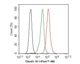 Flow cytometric analysis of F9 cells labeling Claudin 18.1.<br />
<br />
Cells were washed twice with cold PBS and resuspend. Then stained with the primary antibody (ER1902-11, 1ug/ml) (red) compared with Rabbit IgG Isotype Control (green). After incubation of the primary antibody at +4℃ for an hour, the cells were stained with a iFluor™ 488 conjugate-Goat anti-Rabbit IgG Secondary antibody (HA1121) at 1/1,000 dilution for 30 minutes at +4℃. Unlabelled sample was used as a control (cells without incubation with primary antibody; black).