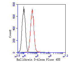 Flow cytometric analysis of Kallikrein 5 was done on A431 cells. The cells were fixed, permeabilized and stained with the primary antibody (ET7110-90, 1/50) (red). After incubation of the primary antibody at room temperature for an hour, the cells were stained with a Alexa Fluor 488-conjugated Goat anti-Rabbit IgG Secondary antibody at 1/1000 dilution for 30 minutes.Unlabelled sample was used as a control (cells without incubation with primary antibody; black).