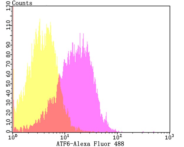 Flow cytometric analysis of HepG2 cells with ATF6 antibody at 1/50 dilution (pink purple) compared with an unlabelled control (cells without incubation with primary antibody; yellow). Alexa Fluor 488-conjugated goat anti-mouse IgG was used as the secondary antibody.