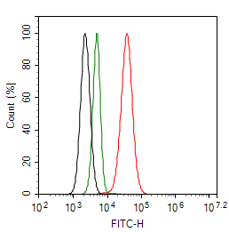 Flow cytometric analysis of HepG2 cells labeling Catalase.<br />
<br />
Cells were fixed and permeabilized. Then stained with the primary antibody (M1501-6, 1ug/ml) (red) compared with Mouse IgG Isotype Control (green). After incubation of the primary antibody at +4℃ for an hour, the cells were stained with a iFluor™ 488 conjugate-Goat anti-Mouse IgG Secondary antibody (HA1125) at 1/1,000 dilution for 30 minutes at +4℃. Unlabelled sample was used as a control (cells without incubation with primary antibody; black).