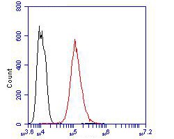 Flow cytometric analysis of Cytokeratin 5+6 was done on Hela cells. The cells were fixed, permeabilized and stained with the primary antibody (ER1901-86, 1/100) (red). After incubation of the primary antibody at room temperature for an hour, the cells were stained with a Alexa Fluor 488-conjugated goat anti-rabbit IgG Secondary antibody at 1/500 dilution for 30 minutes.Unlabelled sample was used as a control (cells without incubation with primary antibody; black).