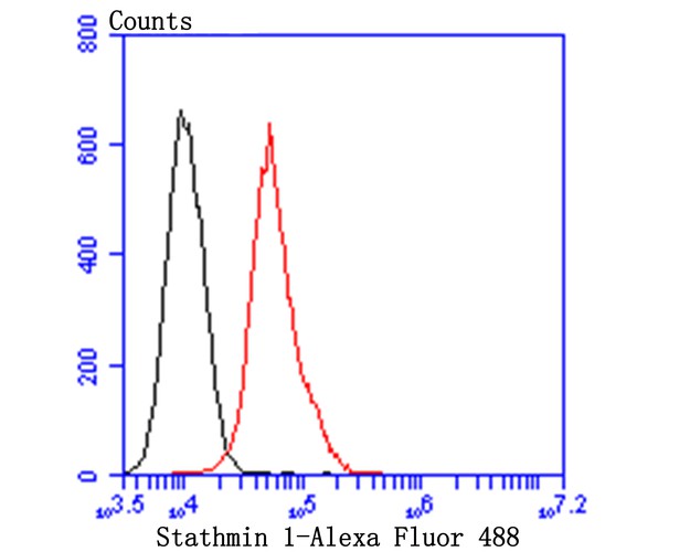 Flow cytometric analysis of Stathmin 1 was done on MG-63 cells. The cells were fixed, permeabilized and stained with Ki67 antibody at 1/100 dilution (red) compared with an unlabelled control (cells without incubation with primary antibody; black). After incubation of the primary antibody on room temperature for an hour, the cells was stained with a Alexa Fluor™ 488-conjugated goat anti-mouse IgG Secondary antibody at 1/500 dilution.