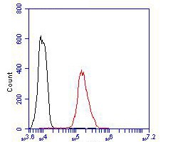 Flow cytometric analysis of DSG3 was done on Hela cells. The cells were fixed, permeabilized and stained with the primary antibody (ER1901-81, 1/100) (red). After incubation of the primary antibody at room temperature for an hour, the cells were stained with a Alexa Fluor 488-conjugated goat anti-rabbit IgG Secondary antibody at 1/500 dilution for 30 minutes.Unlabelled sample was used as a control (cells without incubation with primary antibody; blue).