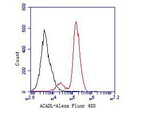 Flow cytometric analysis of ACADL was done on F9 cells. The cells were fixed, permeabilized and stained with the primary antibody (ER1901-11, 1/50) (red). After incubation of the primary antibody at room temperature for an hour, the cells were stained with a Alexa Fluor 488-conjugated Goat anti-Rabbit IgG Secondary antibody at 1/1000 dilution for 30 minutes.Unlabelled sample was used as a control (cells without incubation with primary antibody; black).