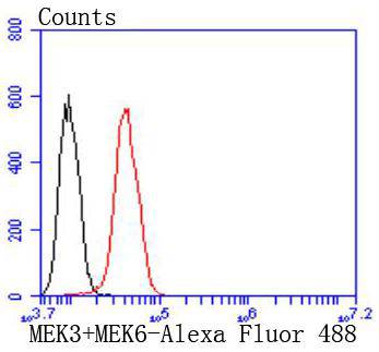 Flow cytometric analysis of MEK3+MEK6 was done on Hela cells. The cells were fixed, permeabilized and stained with the primary antibody (ET1701-48, 1/50) (red). After incubation of the primary antibody at room temperature for an hour, the cells were stained with a Alexa Fluor 488-conjugated Goat anti-Rabbit IgG Secondary antibody at 1/1000 dilution for 30 minutes.Unlabelled sample was used as a control (cells without incubation with primary antibody; black).
