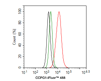 Flow cytometric analysis of SW480 cells labeling CCPG1.<br />
<br />
Cells were fixed and permeabilized. Then stained with the primary antibody (HA500520, 1ug/ml) (red) compared with Rabbit IgG Isotype Control (green). After incubation of the primary antibody at +4℃ for an hour, the cells were stained with a iFluor™ 488 conjugate-Goat anti-Rabbit IgG Secondary antibody (HA1121) at 1/1,000 dilution for 30 minutes at +4℃. Unlabelled sample was used as a control (cells without incubation with primary antibody; black).