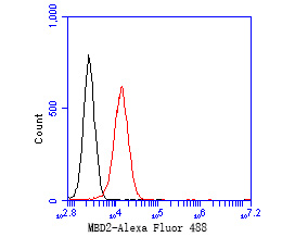 Flow cytometric analysis of MBD2 was done on Daudi cells. The cells were fixed, permeabilized and stained with the primary antibody (ET7111-40, 1/50) (red). After incubation of the primary antibody at room temperature for an hour, the cells were stained with a Alexa Fluor 488-conjugated Goat anti-Rabbit IgG Secondary antibody at 1/1000 dilution for 30 minutes.Unlabelled sample was used as a control (cells without incubation with primary antibody; black).