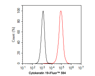 Flow cytometric analysis of SK-Br-3 cells labeling Cytokeratin 19.<br />
<br />
Cells were fixed and permeabilized. Then incubated for 1 hour at +4℃ with Cytokeratin 19 (HA720115F, red, 1ug/ml). Unlabelled sample was used as a control (cells without incubation with primary antibody; black).