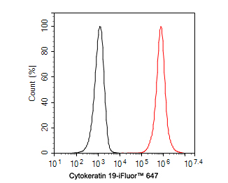 Flow cytometric analysis of SK-Br-3 cells labeling Cytokeratin 19.<br />
<br />
Cells were fixed and permeabilized. Then incubated for 1 hour at +4℃ with Cytokeratin 19 (HA720152F, red, 1ug/ml). Unlabelled sample was used as a control (cells without incubation with primary antibody; black).