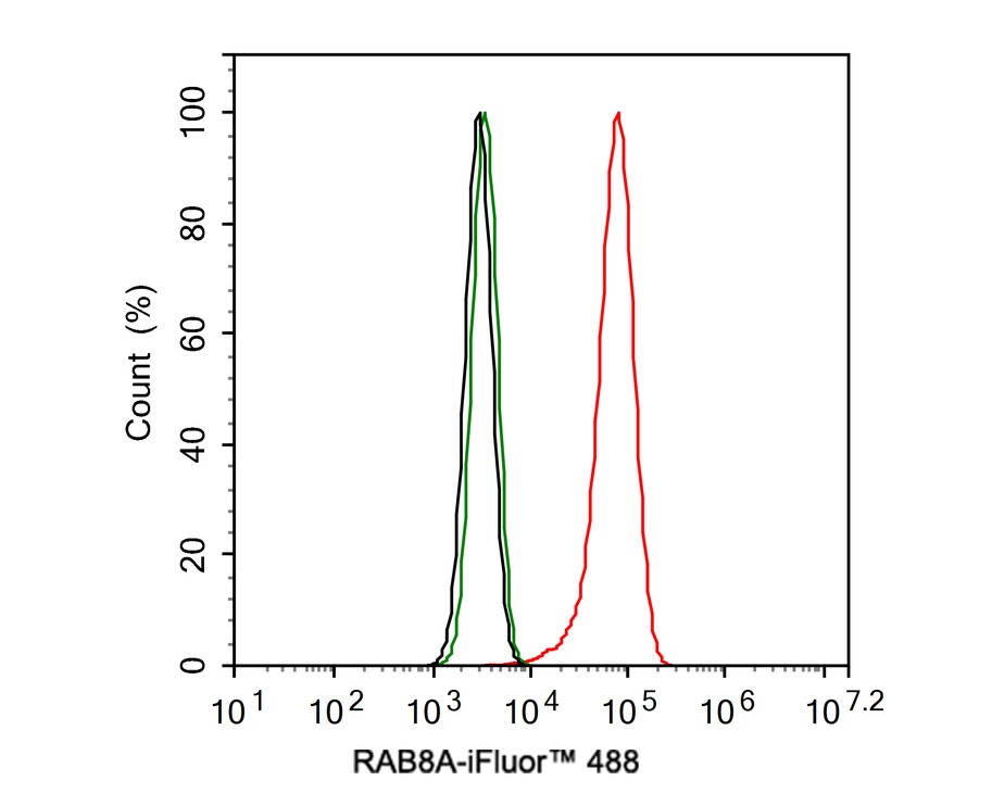 Flow cytometric analysis of HeLa cells labeling RAB8A.<br />
<br />
Cells were fixed and permeabilized. Then stained with the primary antibody (HA721127, 1ug/ml) (red) compared with Rabbit IgG Isotype Control (green). After incubation of the primary antibody at +4℃ for an hour, the cells were stained with a iFluor™ 488 conjugate-Goat anti-Rabbit IgG Secondary antibody (HA1121) at 1/1,000 dilution for 30 minutes at +4℃. Unlabelled sample was used as a control (cells without incubation with primary antibody; black).
