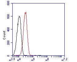 CD11b Mouse monoclonal Antibody