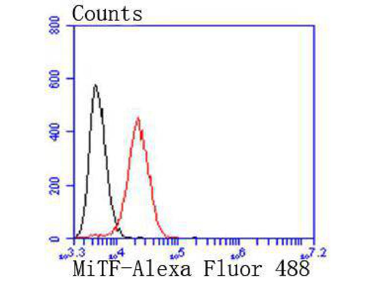 Flow cytometric analysis of MiTF was done on SW480 cells. The cells were fixed, permeabilized and stained with the primary antibody (ET1702-86, 1/50) (red). After incubation of the primary antibody at room temperature for an hour, the cells were stained with a Alexa Fluor 488-conjugated Goat anti-Rabbit IgG Secondary antibody at 1/1,000 dilution for 30 minutes.Unlabelled sample was used as a control (cells without incubation with primary antibody; black).
