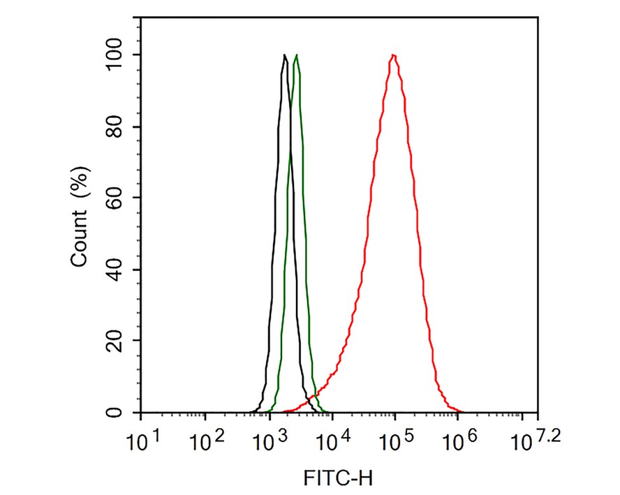 Flow cytometric analysis of A431 cells labeling Cytokeratin 15.<br />
<br />
Cells were fixed and permeabilized. Then stained with the primary antibody (ET1609-54, 1/100) (red) compared with Rabbit IgG Isotype Control (green). After incubation of the primary antibody at +4℃ for an hour, the cells were stained with a iFluor™ 488 conjugate-Goat anti-Rabbit IgG Secondary antibody (HA1121) at 1/1,000 dilution for 30 minutes at +4℃. Unlabelled sample was used as a control (cells without incubation with primary antibody; black).