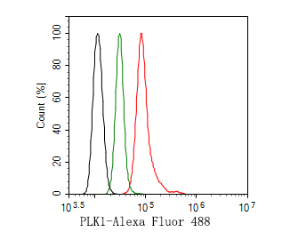 Flow cytometric analysis of PLK1 was done on Hela cells. The cells were fixed, permeabilized and stained with the primary antibody (HA500281, 1ug/ml) (red) compared with Rabbit IgG, monoclonal  - Isotype Control (green). After incubation of the primary antibody at +4℃ for 1 hour, the cells were stained with a Alexa Fluor®488 conjugate-Goat anti-Rabbit IgG Secondary antibody at 1/1,000 dilution for 30 minutes at +4℃ (dark incubation).Unlabelled sample was used as a control (cells without incubation with primary antibody; black).