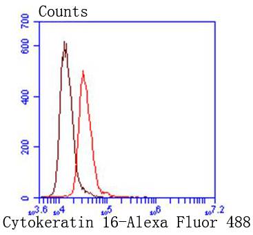 Flow cytometric analysis of Cytokeratin 16 was done on HepG2 cells. The cells were fixed, permeabilized and stained with the primary antibody (ET1610-17, 1/50) (red). After incubation of the primary antibody at room temperature for an hour, the cells were stained with a Alexa Fluor 488-conjugated Goat anti-Rabbit IgG Secondary antibody at 1/1000 dilution for 30 minutes.Unlabelled sample was used as a control (cells without incubation with primary antibody; black).