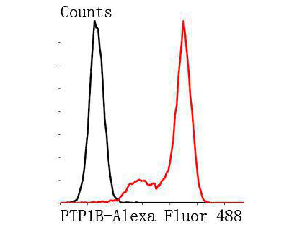 Flow cytometric analysis of Jurkat cells with PTP1B antibody at 1/100 dilution (red) compared with an unlabelled control (cells without incubation with primary antibody; black). Alexa Fluor 488-conjugated Goat anti mouse IgG was used as the secondary antibody.