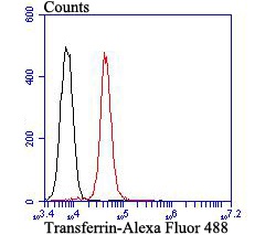 Flow cytometric analysis of Transferrin was done on HepG2 cells. The cells were fixed, permeabilized and stained with Transferrin antibody at 1/100 dilution (red) compared with an unlabelled control (cells without incubation with primary antibody; black). After incubation of the primary antibody on room temperature for an hour, the cells was stained with a Alexa Fluor™ 488-conjugated goat anti-mouse IgG Secondary antibody at 1/500 dilution for 30 minutes.