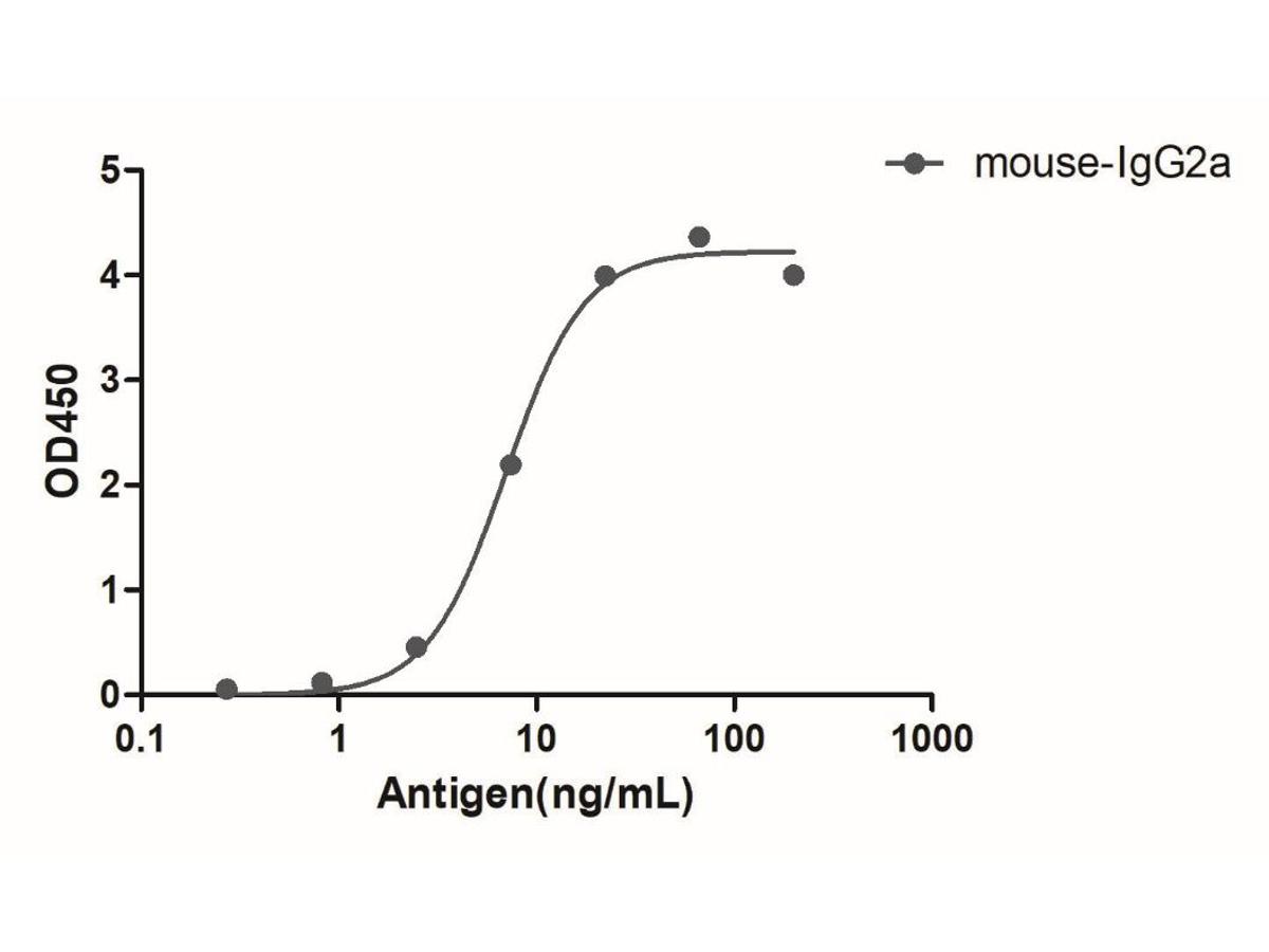 Mouse IgG2a (Fcγ Fragment specific), AlpHcAbs® Goat antibody (HRP) - image 1