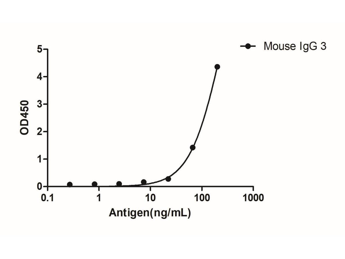 Mouse IgG3 (Fcγ Fragment specific), AlpSdAbs® VHH (HRP) - image 1
