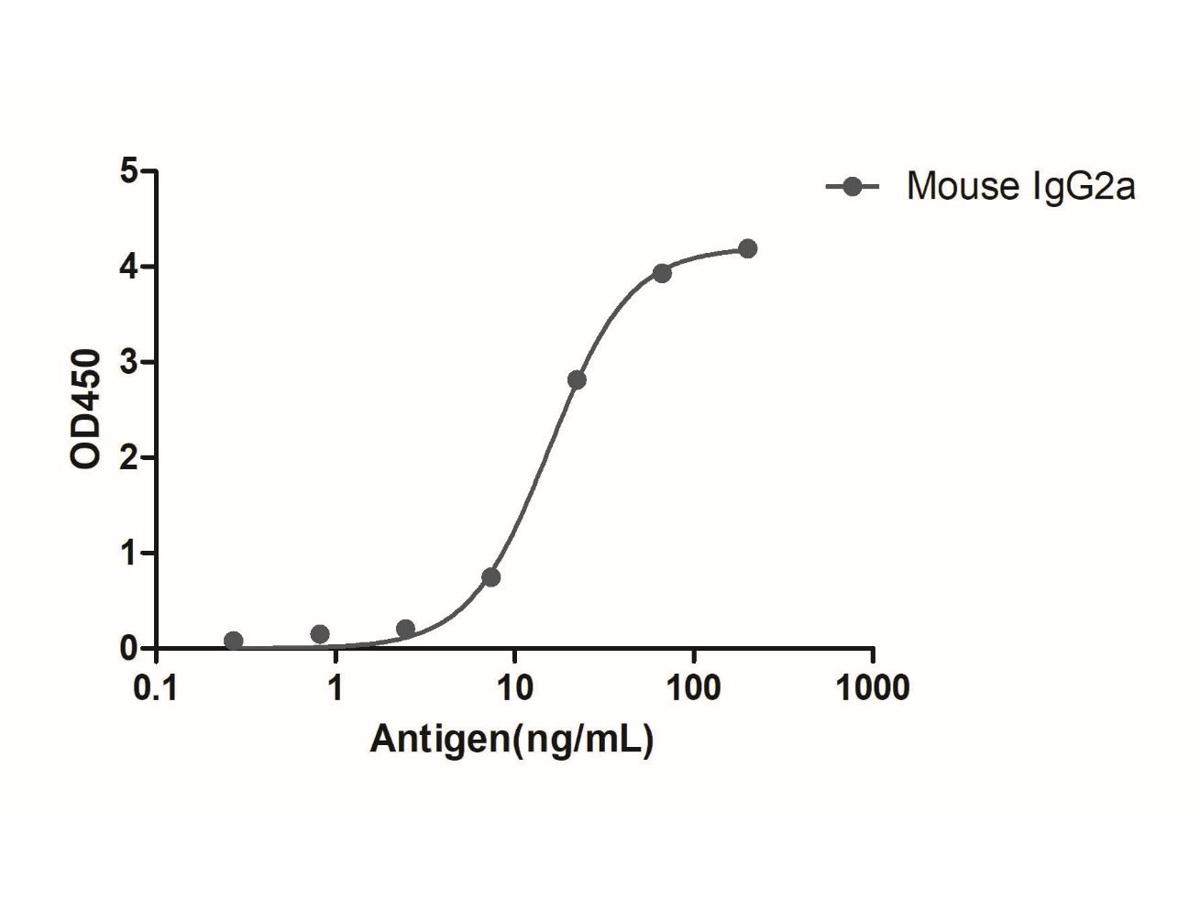 Mouse IgG2a (Fcγ Fragment specific), AlpSdAbs® VHH (HRP) - image 1