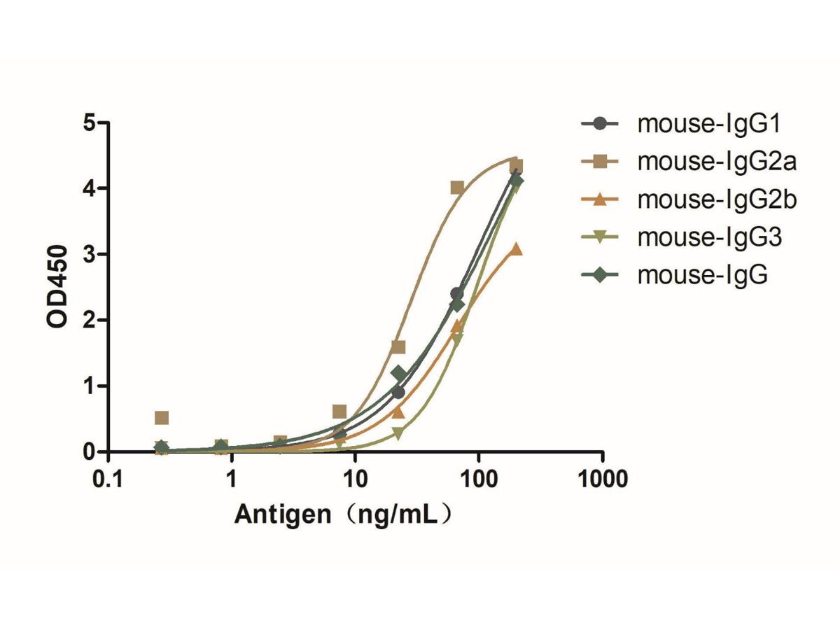 Mouse IgG (Fcγ Fragment specific), AlpSdAbs® VHH - image 1
