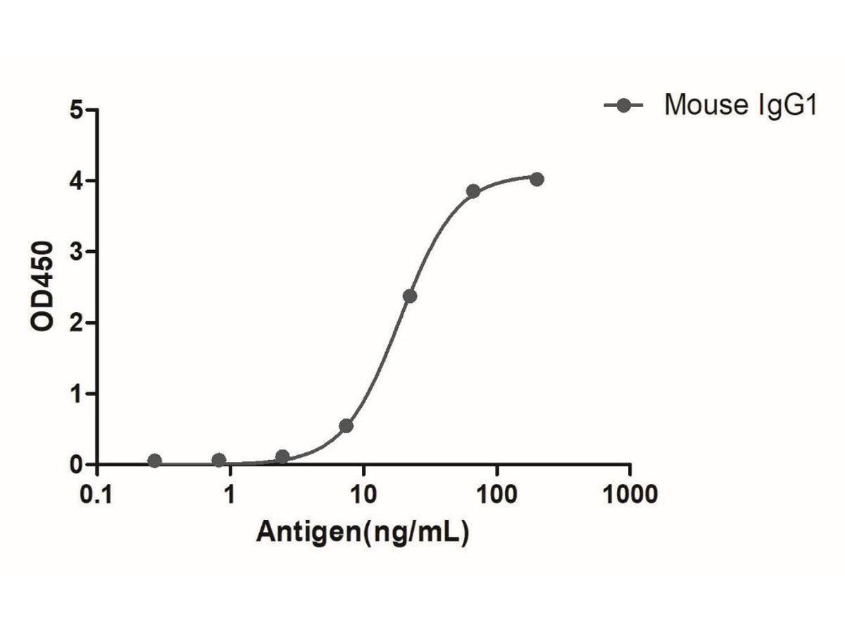 Mouse IgG1 (Fcγ Fragment specific), AlpSdAbs® VHH (Biotin) - image 1
