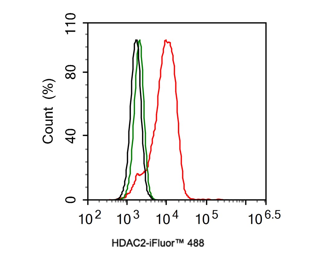 Flow cytometric analysis of HeLa cells labeling HDAC2.<br />
<br />
Cells were fixed and permeabilized. Then stained with the primary antibody (ET1612-50, 1μg/mL) (red) compared with Rabbit IgG Isotype Control (green). After incubation of the primary antibody at +4℃ for an hour, the cells were stained with a iFluor™ 488 conjugate-Goat anti-Rabbit IgG Secondary antibody (HA1121) at 1/1,000 dilution for 30 minutes at +4℃. Unlabelled sample was used as a control (cells without incubation with primary antibody; black).