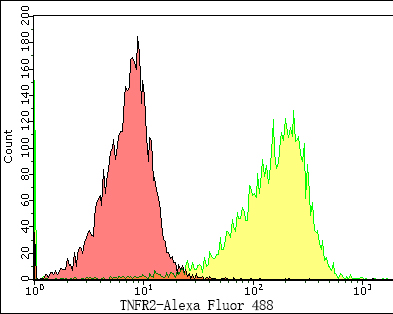 Flow cytometric analysis of TNFR2 was done on HepG2 cells. The cells were fixed, permeabilized and stained with the primary antibody (HA500332, 1/50) (yellow). After incubation of the primary antibody at room temperature for an hour, the cells were stained with a Alexa Fluor 488-conjugated Goat anti-Rabbit IgG Secondary antibody at 1/1000 dilution for 30 minutes.Unlabelled sample was used as a control (cells without incubation with primary antibody; red).
