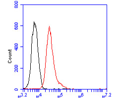 Flow cytometric analysis of SIX2 was done on 293 cells. The cells were fixed, permeabilized and stained with the primary antibody (HA500463, 1/50) (red). After incubation of the primary antibody at room temperature for an hour, the cells were stained with a Alexa Fluor 488-conjugated Goat anti-Rabbit IgG Secondary antibody at 1/1000 dilution for 30 minutes.Unlabelled sample was used as a control (cells without incubation with primary antibody; black).