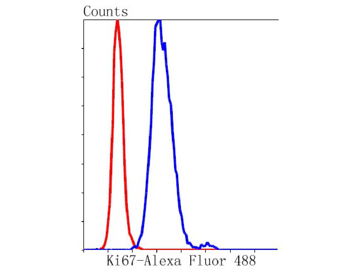 Flow cytometric analysis of Ki67 was done on Hela cells. The cells were fixed, permeabilized and stained with the primary antibody (ET1609-34, 1/100) (blue). After incubation of the primary antibody at room temperature for an hour, the cells were stained with a Alexa Fluor 488-conjugated Goat anti-Rabbit IgG Secondary antibody at 1/1000 dilution for 30 minutes.Unlabelled sample was used as a control (cells without incubation with primary antibody; red).