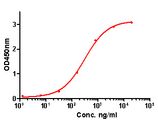 IL-1 beta Antibody (HA601035) in indirect ELISA.<br />
<br />
Indirect ELISA analysis of IL-1 beta was performed by coating wells of a 96-well plate with 50 µl per well of IL-1 beta antigen diluted in carbonate/bicarbonate buffer, at a concentration of 1 µg/mL overnight at 4℃. Wells of the plate were washed, blocked with StartingBlock blocking buffer, and incubated with 50 µl per well of a mouse IL-1 beta monoclonal antibody starting at a concentration of 20 µg/mL and serially diluting it to a concentration of 1.28 ng/mL for 2 hours at room temperature. The plate was washed and incubated with 50 µl per well of an HRP-conjugated goat anti-mouse IgG secondary antibody at a dilution of 1:10,000 for one hour at room temperature. Detection was performed using an Ultra TMB Substrate for 5 minutes at room temperature in the dark. The reaction was stopped with sulfuric acid and absorbances were read on a spectrophotometer at 450 nm.