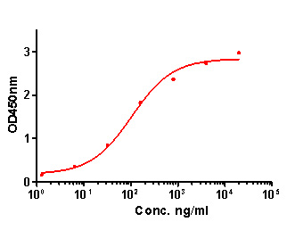 IL-1 beta Antibody (HA601036) in indirect ELISA.<br />
<br />
Indirect ELISA analysis of IL-1 beta was performed by coating wells of a 96-well plate with 50 µl per well of IL-1 beta antigen diluted in carbonate/bicarbonate buffer, at a concentration of 1 µg/mL overnight at 4℃. Wells of the plate were washed, blocked with StartingBlock blocking buffer, and incubated with 50 µl per well of a mouse IL-1 beta monoclonal antibody starting at a concentration of 20 µg/mL and serially diluting it to a concentration of 1.28 ng/mL for 2 hours at room temperature. The plate was washed and incubated with 50 µl per well of an HRP-conjugated goat anti-mouse IgG secondary antibody at a dilution of 1:10,000 for one hour at room temperature. Detection was performed using an Ultra TMB Substrate for 5 minutes at room temperature in the dark. The reaction was stopped with sulfuric acid and absorbances were read on a spectrophotometer at 450 nm.