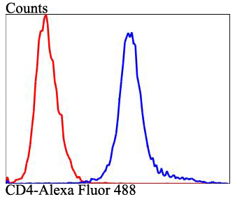 Flow cytometric analysis of Raji cells with CD4 antibody at 1/100 dilution (blue) compared with an unlabelled control (cells without incubation with primary antibody; red). Alexa Fluor 488-conjugated goat anti-rabbit IgG was used as the secondary antibody.