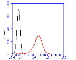 Flow cytometric analysis of CD45 was done on Jurkat cells. The cells were fixed, permeabilized and stained with the primary antibody (ET7111-03, 1/100) (red). After incubation of the primary antibody at room temperature for an hour, the cells were stained with a Alexa Fluor 488-conjugated goat anti-rabbit IgG Secondary antibody at 1/500 dilution for 30 minutes.Unlabelled sample was used as a control (cells without incubation with primary antibody; black).