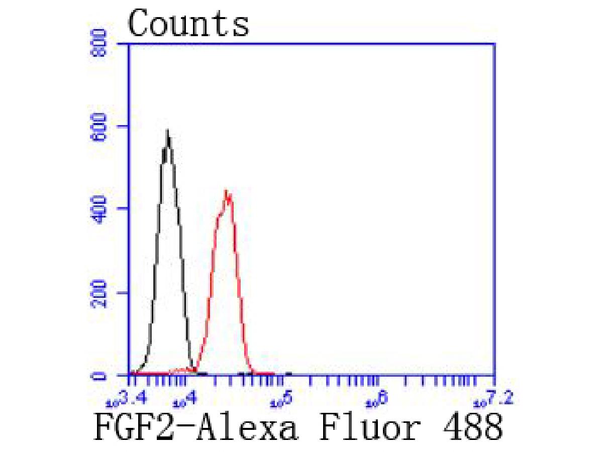 Flow cytometric analysis of Jurkat cells with FGF2 antibody at 1/50 dilution (red) compared with an unlabelled control (cells without incubation with primary antibody; black). Alexa Fluor 488-conjugated goat anti rabbit IgG was used as the secondary antibody.