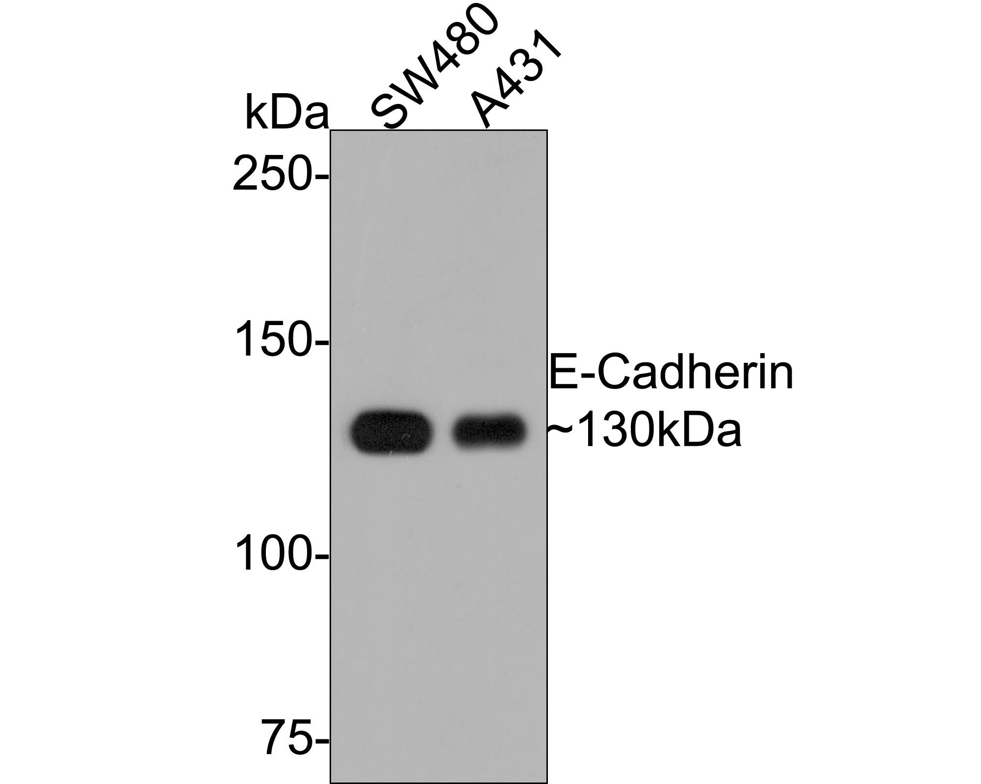 EM0502_2.jpg