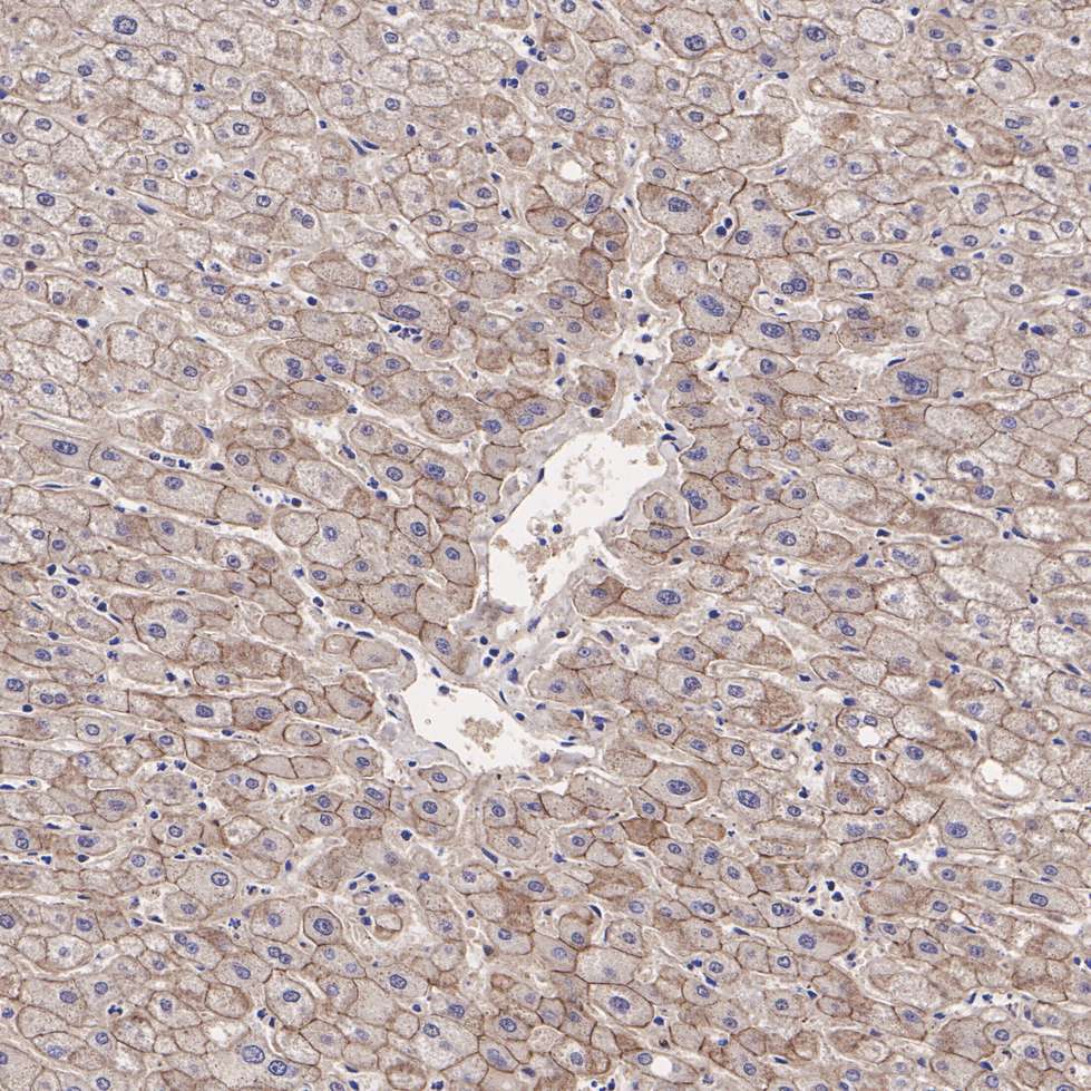 EM0502_3.jpg