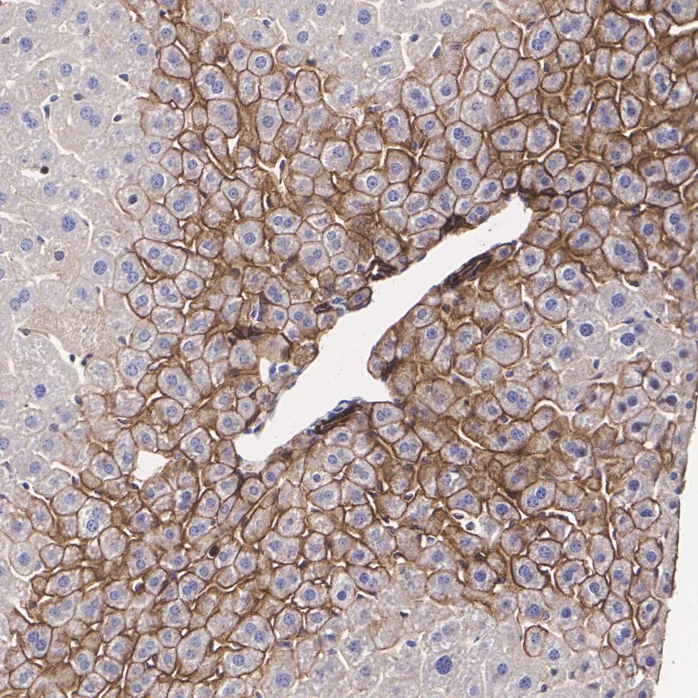 EM0502_4.jpg