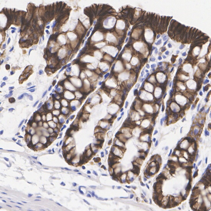 EM0502_5.jpg