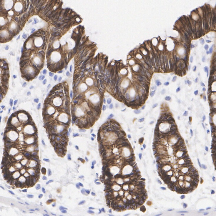 EM0502_6.jpg